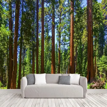Sala De Imagini De Fundal Redwood Forest Plin Pictura Murala De Perete Pentru Camera De Zi Dormitor Personalizat De Fundal Fotografie Tesatura Auto-Adeziv Tapet